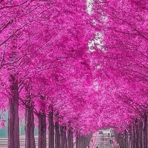 Meet your Posher, Adanna